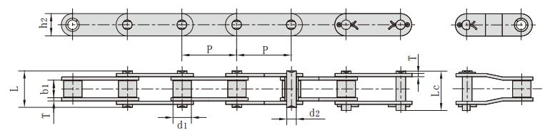 <font color='red'>c2100</font>H_C220AH 雙節距輸送鏈